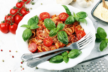 Pasta orecchiette. Plate of delicious orecchiette with tomato sauce garnished with parmesan cheese and basil on rustic background