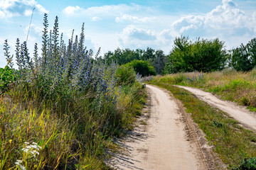 Country road