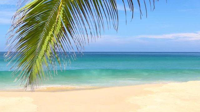 tropical beach with palm trees at phuket beach