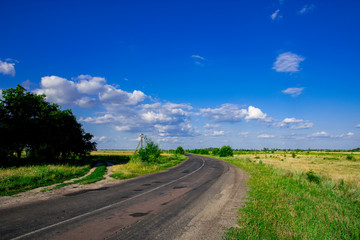 Fototapeta na wymiar Country road in the summer field landscape