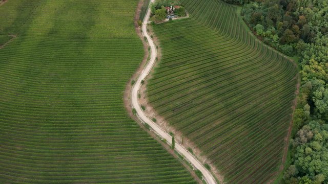 Drone view of vineyards in Friuli, Italy