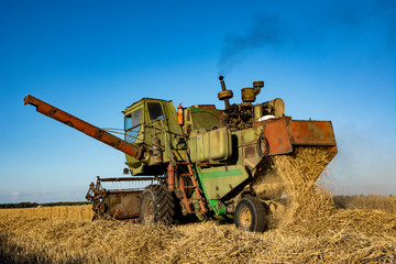 combine harvester on a wheat field