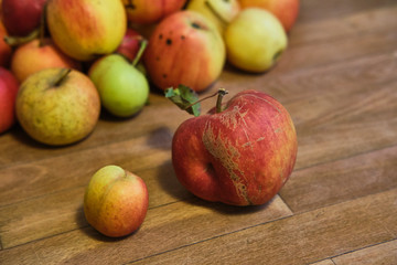 Zwei unterschiedlich große Äpfel liegen auf einem Tisch, im Hintergrund ein Haufen anderer Äpfel