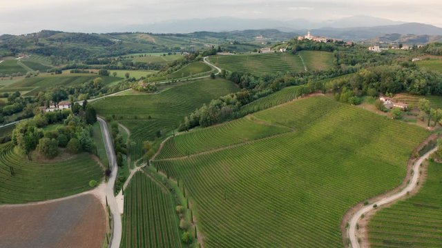 Drone view of vineyards in Friuli, Italy