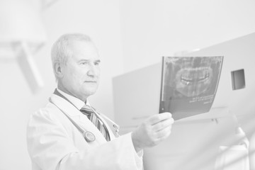 Senior doctor examining dental x-ray at clinic