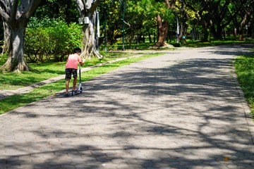 Fototapeta premium young woman riding a bicycle in the park