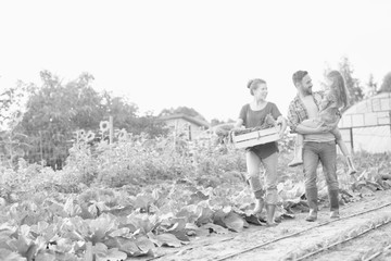 Portrait of a family of famers carrying their vegetables home in wooden boxes, at the end of the day, the Father is carrying their daughter