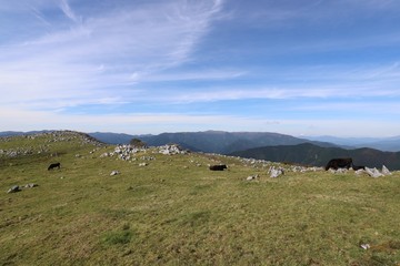 四国カルストの秋