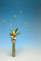 Fotografía de estudio de arreglo floral Ikebana