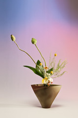 Fotografía de estudio de arreglo floral Ikebana