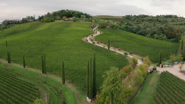 Drone view of vineyards in Friuli, Italy