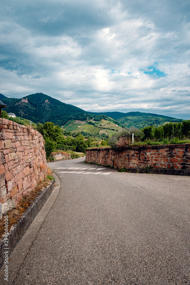 Poster walk through the French vineyards of Alsace