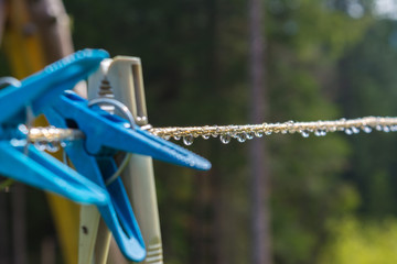 plastic clothesline with clothespin and dew drops on closeup.