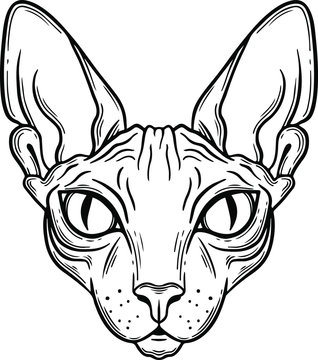 cat sphinx head vector hand drawn illustration tattoo sketch style isolated on white