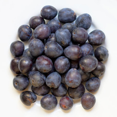 Freshly picked ripe whole plums on white background. Stacked purple sweet fruits isolated