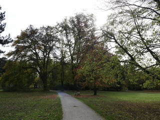 Fototapeta na wymiar Baume im Park