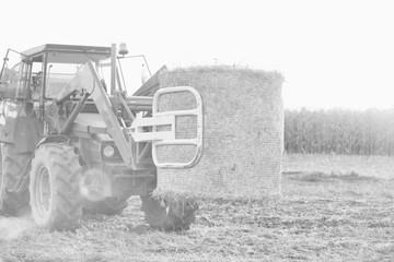 Black and white Photo of tractor with round hay bale