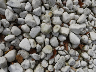 Kieselsteine