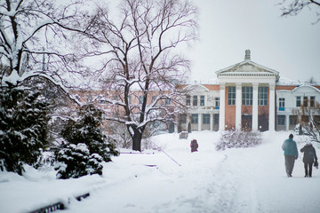 Botanical garden in Moscow in winter