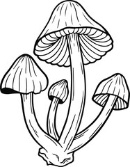 poison mushroom vector hand drawn illustration tattoo sketch style isolated on white