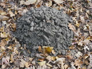 Baulwurfshügel, Hügel, Sandberg, Maulwurf, Blätter, Herbst