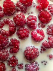 raspberries in milk. light dessert. food background