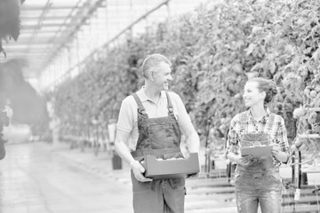 Black and white photo of senior farmer carrying tomatoes in crate while talking to supervisor at greenhouse