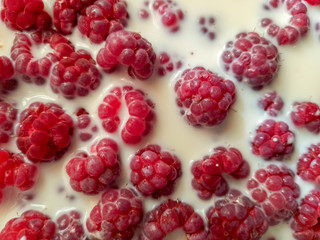 raspberries in milk. light dessert. food background