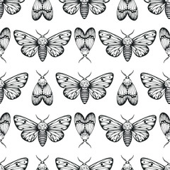 Obraz na płótnie Canvas seamless pattern of moth, sketch style butterfly illustration, vector illustration isolated on white, tattoo design