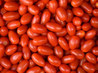 Tomate roma o tomates pera.