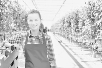 Black and white photo of Young attractive farmer leaning on tomato crate at greenhouse