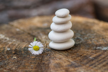 Fototapeta na wymiar White stones cairn, poise light pebbles on wooden stump in front of green brown background, zen like, harmony and balance
