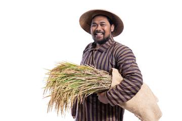 smiling asian farmer with javanese traditional cloth holding rice grain isolated over white background