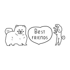 Best friends. Poodle and chow chow. Vector illustration for greeting card, t shirt, sticker, poster design on white background.