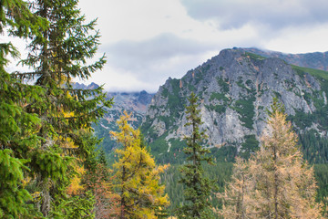 Autumn in the High Tatras in Slovakia