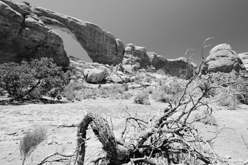 Arches National Park, Utah. Black and white retro style. American landscape.
