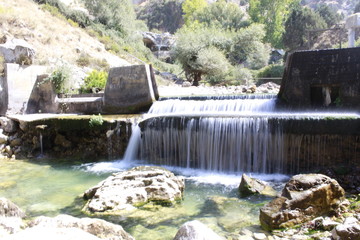 this image was taken when i go to nature in lebanon.