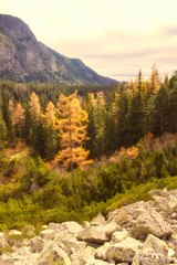 Fototapeta na wymiar Autumn in the High Tatras in Slovakia