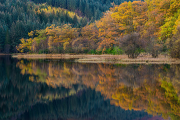 Colorful autumn trees and reflections.