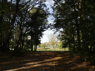 Fototapeta premium Waldweg im Herbst