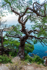 Landscapes of Crimea, sunrises and sunsets, mountains, sea, landscape of clouds and mountain landscapes