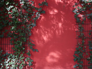 Rote Wand mit Laub