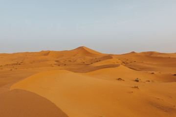 Fototapeta na wymiar Beautiful landscape of orange desert in Africa, with sand dunes and horizon.