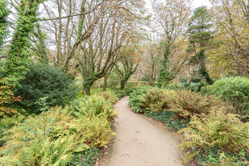 victorian walled garden kylemore irleand