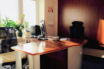 Cozy study in brown with modern equipment, communications, new furniture and greenery is empty. 