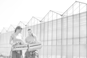 Smiling female botanists carrying plants in wooden crates against greenhouse