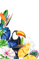 card with place for text, tropical flowers, toucan bird butterflies, watercolor drawing, jungle composition © Hanna