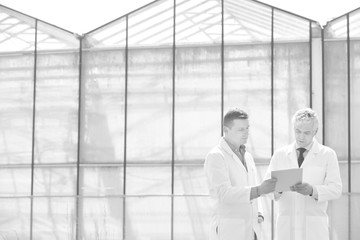 Mature male biochemists discussing while standing against clear blue sky