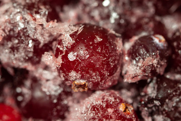 Frozen berries cranberry with crystals ice macro closeup iced