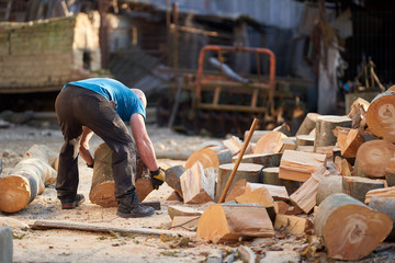 Fit lumberjack carrying beech logs